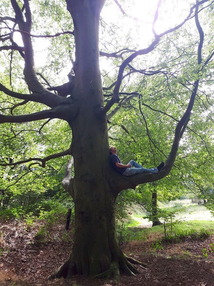 a man sitting on a tree branches
